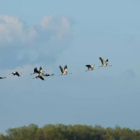 Ferienzimmer Guenther Objekt 28985 ヴィラ