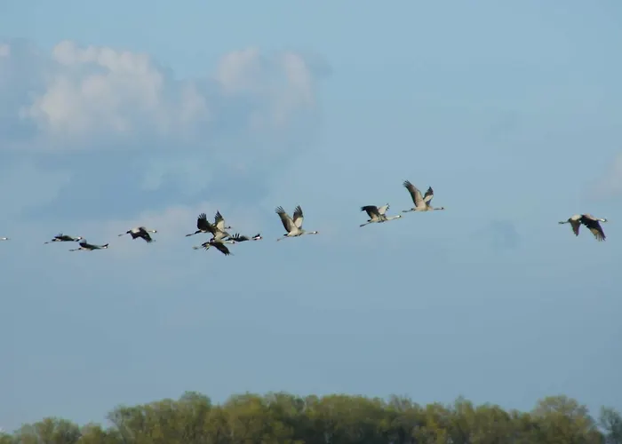 Ferienzimmer Guenther Objekt 28985 ヴィラ